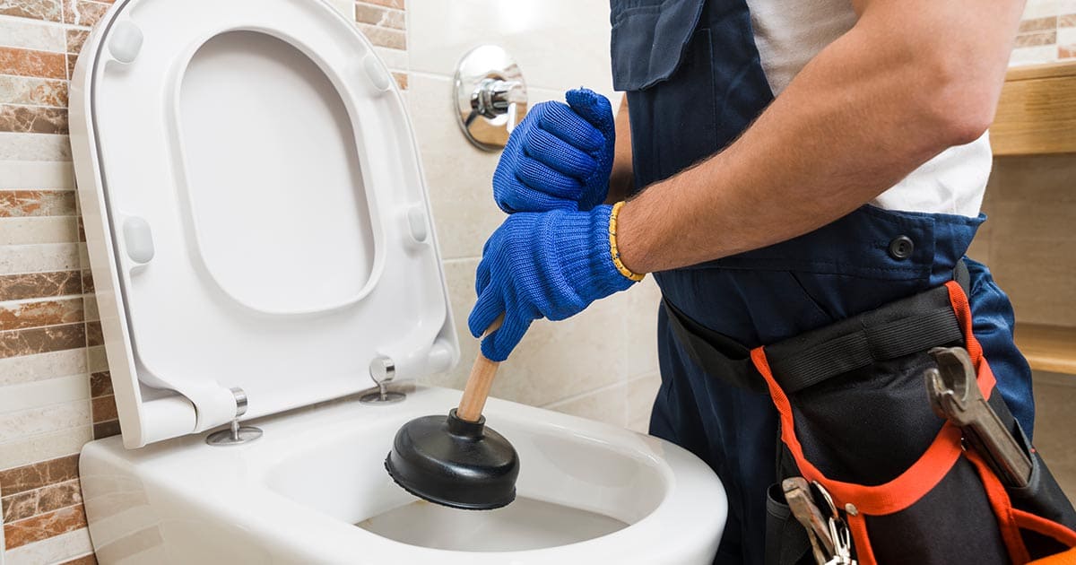 Toilet Repair and Drain Repair